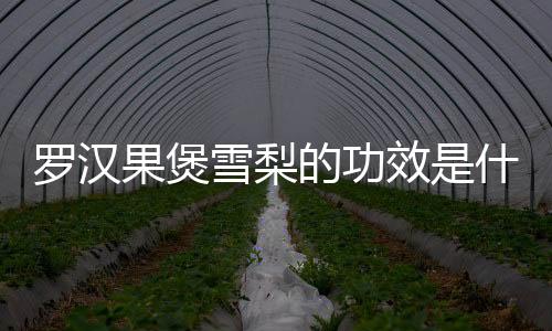 罗汉果煲雪梨的功效是什么