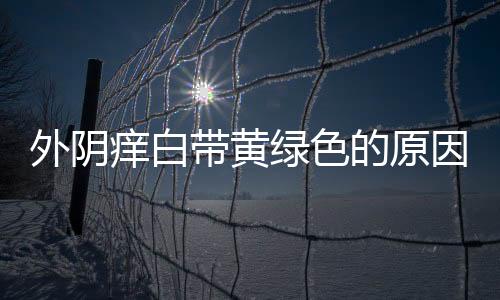 外阴痒白带黄绿色的原因及治疗方法