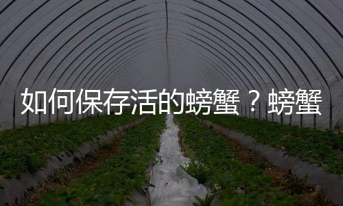 如何保存活的螃蟹？螃蟹的保鲜方法